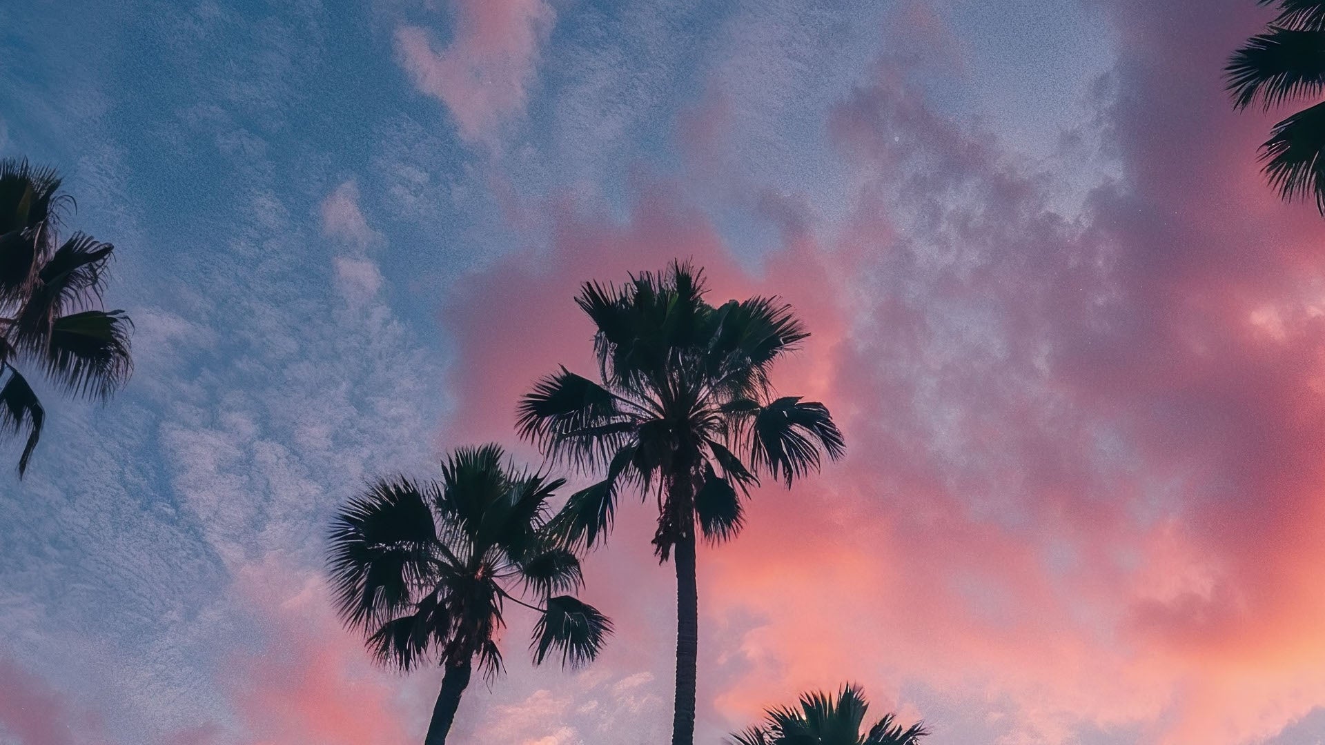 Aura Wallpaper - Los Angeles (Full HD)
